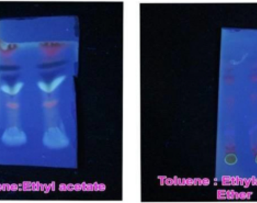 Phytochemical profile of Euphorbia hirta plant extract and its in vitro anticancer activity against the liver cancer HepG2 cells 