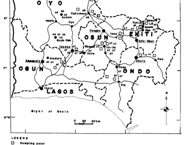 Germplasm collections and morphological studies of Andropogon gayanus–Andropogon tectorum complex in southwestern Nigeria 