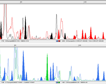 Assessment of genetic diversity among species mungo-radiata group of subgenus Ceratotropis of genus Vigna Savi. using amplified fragment length polymorphism (AFLP)