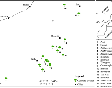 Use of ISSR markers for assessing genetic diversity of apple (Malus x domestica) cultivars growing in Morocco