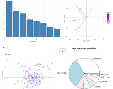 Genetic analysis and characterization of diverse pigeonpea genotypes for yield-enhancing traits