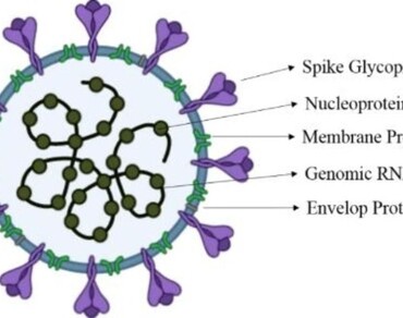 Medicinal plants, phytoconstituents and traditional formulation as potential therapies for SARS-CoV-2: a review update 