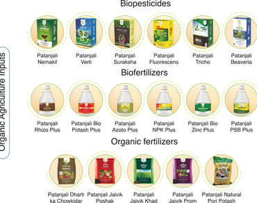 Organic farming for sustainable agriculture and public health: Patanjalis perspective 