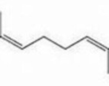 Molecular docking and simulation studies of squalene obtained from Amaranthus Hybridus with DNA topoisomerase II alpha 