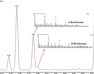 Essential oil profile of Garcinia Pushpangadaniana, a recently described species from the Western Ghats of India