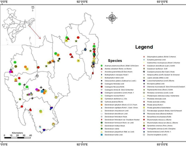 Study of orchids (Orchidaceae) distribution and richness for conservation implications in Tripura, North East India