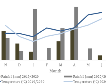 Faba Bean (Vicia faba L.) physiological, biochemical and agronomic traits responses to tillage systems under rainfed Mediterranean conditions