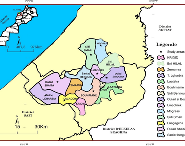 Floristic diversity and ecological characteristics of weeds in irrigated agro-system with a Mediterranean climate