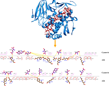 Therapeutic potential of cyanobacterial protein cyanovirin against monkeypox virus: an in-silico analysis