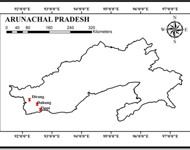 Diversity and bioactivity of endolichenic fungi isolated from three lichen species of Arunachal Pradesh, Indo-Burma belt