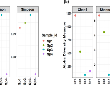 Microbial diversity associated with the natural spring water of Western Himalayas