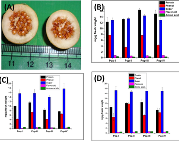 Floral morphometrics, cytology and fruit biochemical studies in wild populations of Solanum viarum Dunal- an ethnomedicinal plant of North-East India