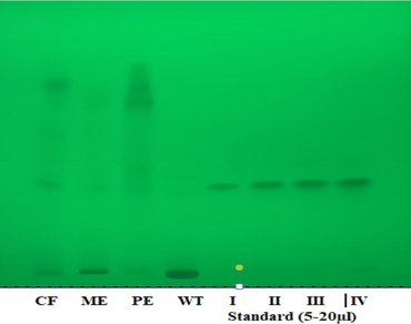 HPTLC quantification of quercetin from leaf extracts of C. occidentalis L. and its inhibitory activity against protease enzyme of P. falciparum