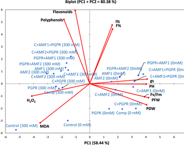 Impact of autochthonous biostimulants on bioactive compounds of date palm vitroplants under salt stress