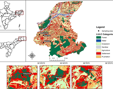 Codonacanthus pauciflorus (Wall. ex Nees) Nees: a record of lesser-known new medicinal plants with amplified description