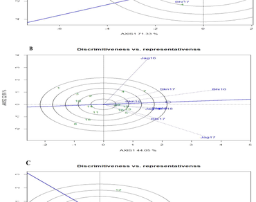Partitioning G × E interactions through the GGE biplot method for root morphology in Ashwagandha [Withania somnifera (L.) Dunal]