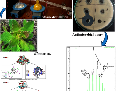 Profiling of aroma volatile compounds and antimicrobial potentiality of two Blumea species: A comparative insight of experimental and computational studies