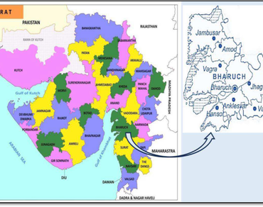Assessment of heavy metal contamination and accumulation in soil and leafy vegetables collected from industrial belt in Bharuch district, Gujarat