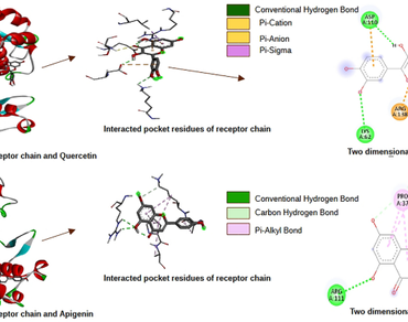 Virtual screening of potential orally active anti-bacterial compounds of finger millet