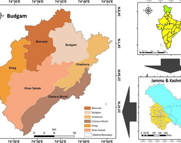 Traditional phytomedicines for the treatment of human ailments in Budgam, Kashmir Himalaya, India