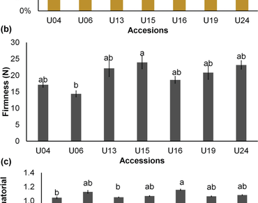 Physical and chemical characterization of fruits from autochthonous accessions of umbu trees (Spondias tuberosa Arr. Cam.) of the Brazilian Northeast region