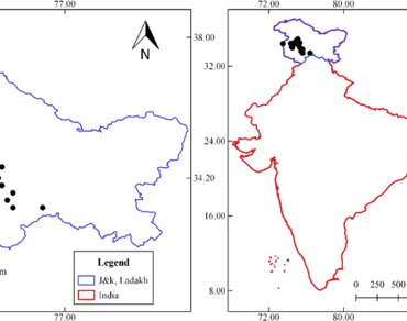 Bridging gaps: A holistic approach to conservation and propagation of Artemisia amygdalina Decne. In the face of climate change and human influence