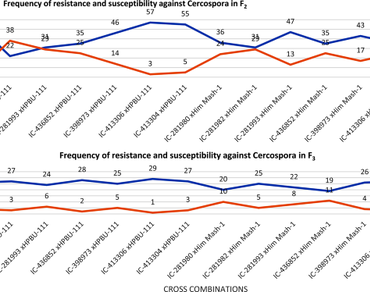Assessing the inheritance of Cercospora leaf spot and anthracnose resistance in the segregating populations of blackgram [Vigna mungo (L.) Hepper] in the north-western Himalayas