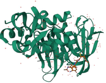 Computational study of bioactive compounds from endophytic fungi against SARS-CoV-2