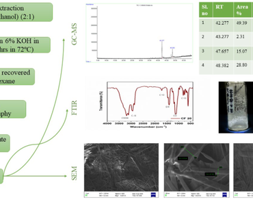 Structural and morphological characterization, anticancer and antimicrobial study of 20EA column fraction in Sesbania grandiflora