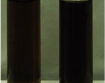 Molecular identification and phytochemical analysis of isolated Chlorella sorokiniana from River Kosasthalaiyar, Manali Newtown