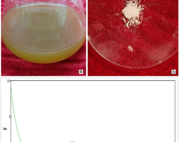 Impact of biosynthesized ZnO nanoparticles in the micropropagation and phytochemical elicitation of Aristolochia krisagathra Sivar. & Pradeep