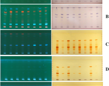 Metabolite profiling of bark and secondary branches of Holarrhena pubescens Wall.ex G.Don by chromatographic and tandem mass spectroscopic analyses