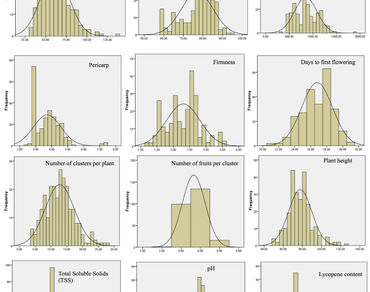 Frequency distribution and genetic variability for yield attributing traits in F2 population of Tomato Cross, IIHR-2373 X  Arka Alok