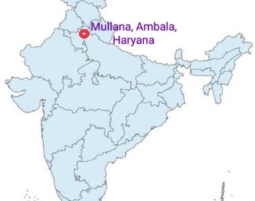 Detection of antimicrobial resistant bacterial pathogens in the raw chicken meat samples in North India
