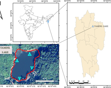 Species diversity, distribution and biomass variability of the macrophyte community in Tamdil Lake, India