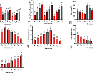 A high-efficiency 3-Step in vitro protocol for commercial cormel micropropagation of Gladiolus hybridus Hort. cv ‘Red Majesty’