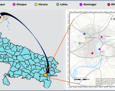 Vegetables under siege: the hidden threat of metal contamination in Varanasi’s suburban soils