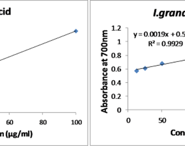 Illigera Grandiflora W.W. Sm. & Jeffrey (Hernandiaceae): a potent source of antioxidants and in silico molecular docking analysis as vascular endothelial growth factor (VEGF) pathway regulator
