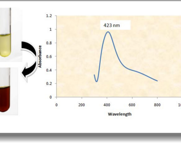 Synthesis, characterization, antioxidant and antimicrobial activity of silver nanoparticles from ethnomedicinal yellow mangosteen leaf extract