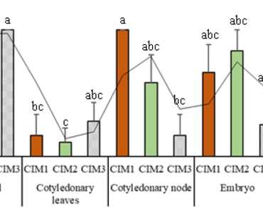 Development of an efficient in vitro protocol to increase callus induction and regeneration rate in soybeans (Glycine max L. Merrill)