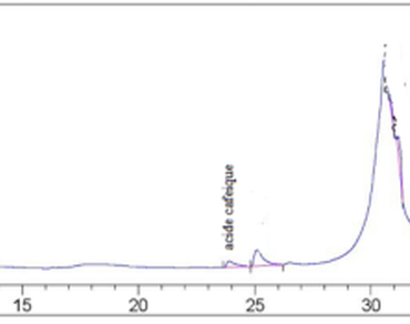 Algerian’s Stachys ocymastrum L., phytochemical analysis, phenolic compound dosage, and assessment of antimicrobial activity