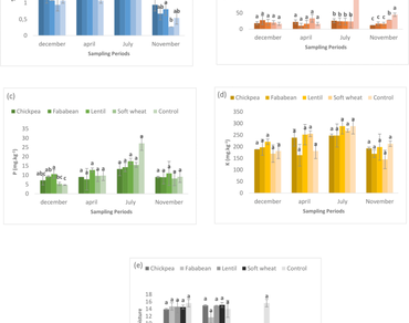 The effect of intercropping crop type on soil fertility, olive trees productivity and quality in Moroccan agroforestry systems