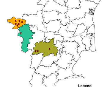 Survey and characterization of cabbage head rot incited by Sclerotinia sclerotiorum from major crucifers growing areas of Tamil Nadu