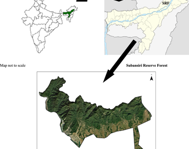 Variations in tree species diversity and population dynamics in edges to interior habitats of a tropical semi-evergreen forest at the foothills of Eastern Himalayas