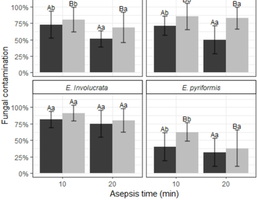 Decontamination of nodal segments from four native fruit species from Brazil related to sonication, asepsis time, and the use of antibiotics