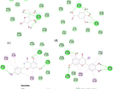 In silico analysis of Phlogacanthus thyrsiflorus Nees. and its protective effects against cardiomyopathic stress induced by alloxan in mice model