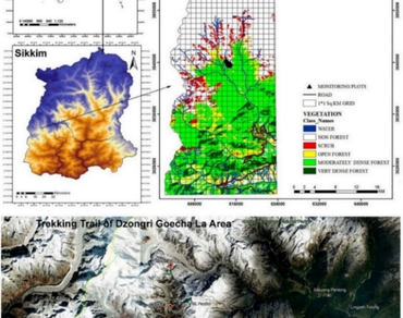 Phyto-sociological assessment of selected ethnomedicinal plants: a case study from Dzongri Goecha La, Eastern Himalaya, India