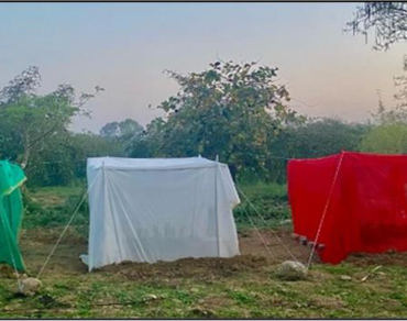 Influence of coloured shade nets on shoot and root growth of dragon fruit stem cuttings