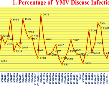 Screening of mungbean [Vigna radiata (l.) wilczek] genotypes for resistance against yellow mosaic virus (ymv) disease