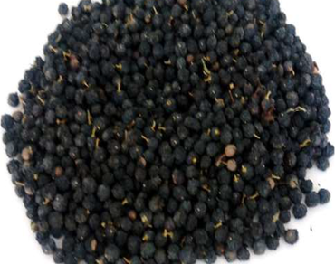 The first study of fatty acids composition, tocopherols, carotenoids, sterols content and antioxidant activity of lipids in Phillyrea angustifolia L. fruits growing in Algeria